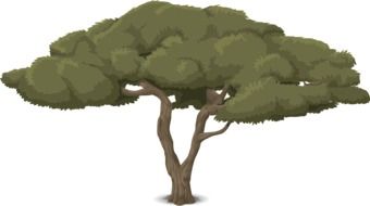 Graphics in the form of a lush tree