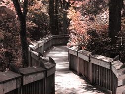 bridge in the autumnal park