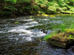mountain forest stream in Germany