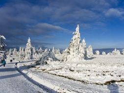 beautiful winter landscape of nature