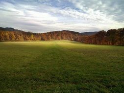 rural meadow on the background of the autumn forest