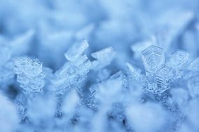 crystals of ice in the winter