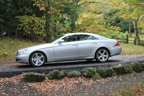 gray mercedes car at autumn park