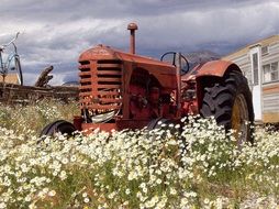 red tractor in a flower meadow