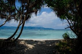 landscape of sand beach