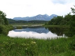 relax summer landscape with lake, mountains and meadow