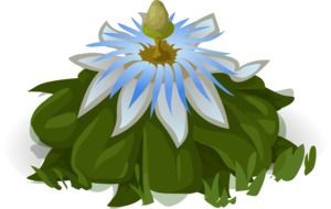 drawing of blue flower plant