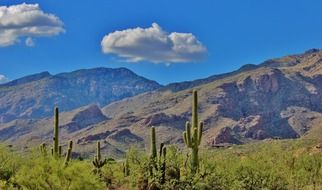 beautiful desert of Tucson, Arizona