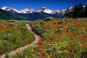 aspen maroon bells landscape