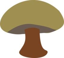 wonderful mushroom drawing