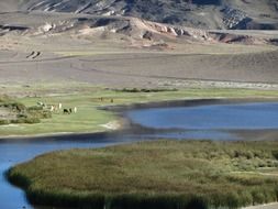Altiplano - vast plateau in the Andes