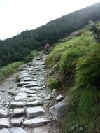rocky mountain trail