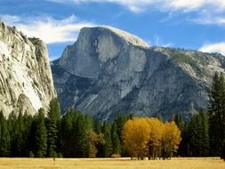 wonderful half dome