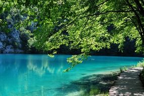 Plitvice lakes with blue water in Croatia