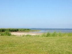 beautiful green shore of a quiet lake