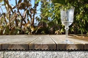 glass wood plant