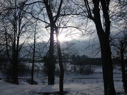 Beautiful forest covered with snow in winter