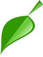 Drawing of green leaf