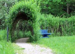 green plant tunnel