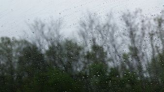 rain window droplets