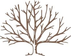 graphic image of a winter tree