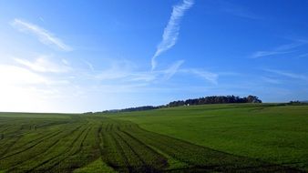 field with green grass in bavaria