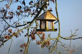 house for birds on a winter tree