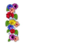 summer flowers collage