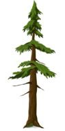 graphic drawing of a fir free