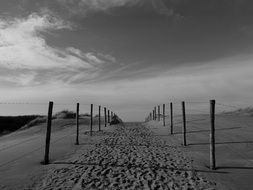 black and white picture of sand dunes