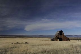 landscape of farmland