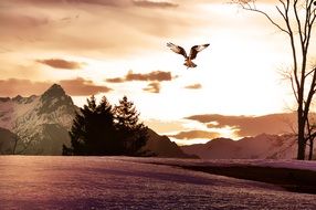 Painting in the form of a bird of prey at sunrise
