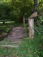 wooden plank path