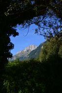 Panorama of the beautiful mountains with green plants in Switzerland