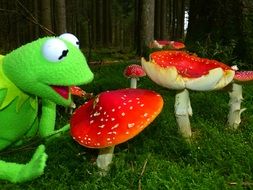 toy frog and fly agaric