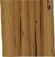 Drawing of light brown tree trunk