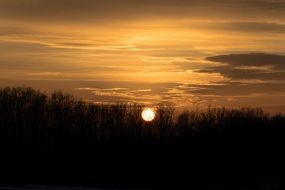 sunset forest trees outlines
