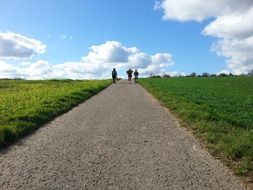 people walking by road through green field