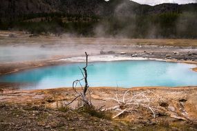 Landscape of yellowstone national park