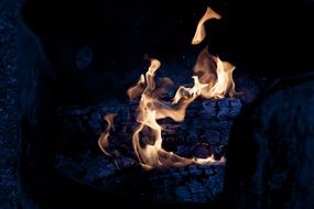 Flame from the burning wood