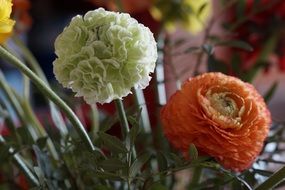 Bouquet with multi-colored buttercups