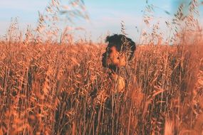 man in high grass of a farm field