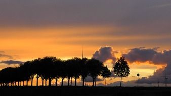 Beautiful and colorful, romantic sunset over the alley with trees