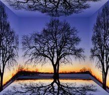 Cube Picture of tree at the sunset