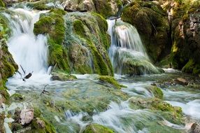 cascade of lakes in a forest reserve in Croatia