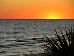 landscape of ocean bank at the sunset