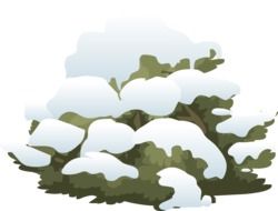 Drawing of green shrub under snow