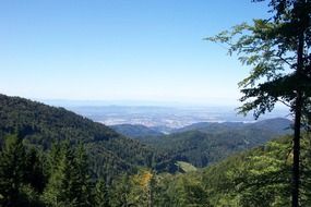 view of forested valley area