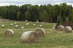 straw bales in countryside