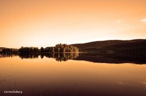 lake evening landscapes